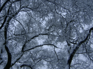 Screen Shot 2015 11 23 at 14.21.55