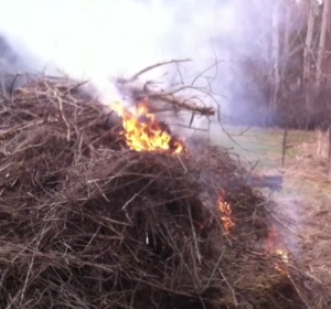 Screenshot 2022 02 02 at 10.21.18