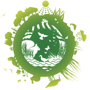 Screenshot 2023 02 07 at 15.24.30