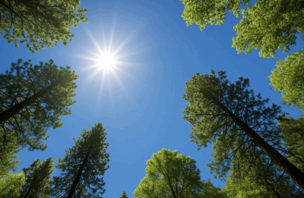 clear sky