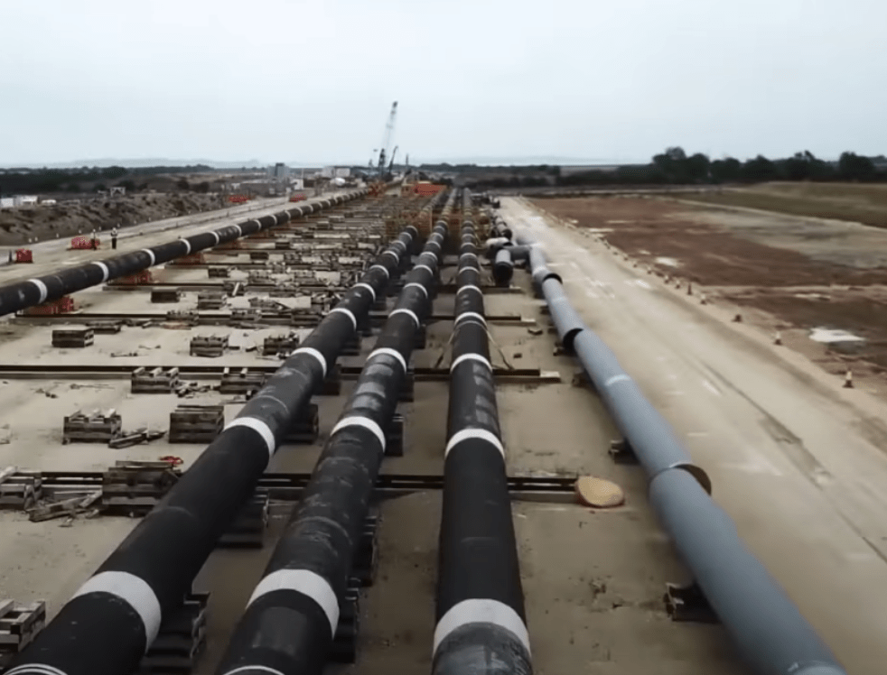 Screenshot 2026 03 03 at 11.42.18