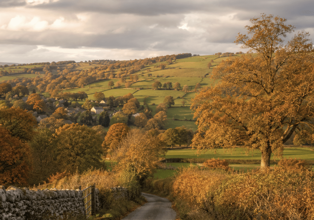autumn